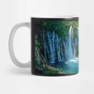 McArthur-Burney Falls Mug